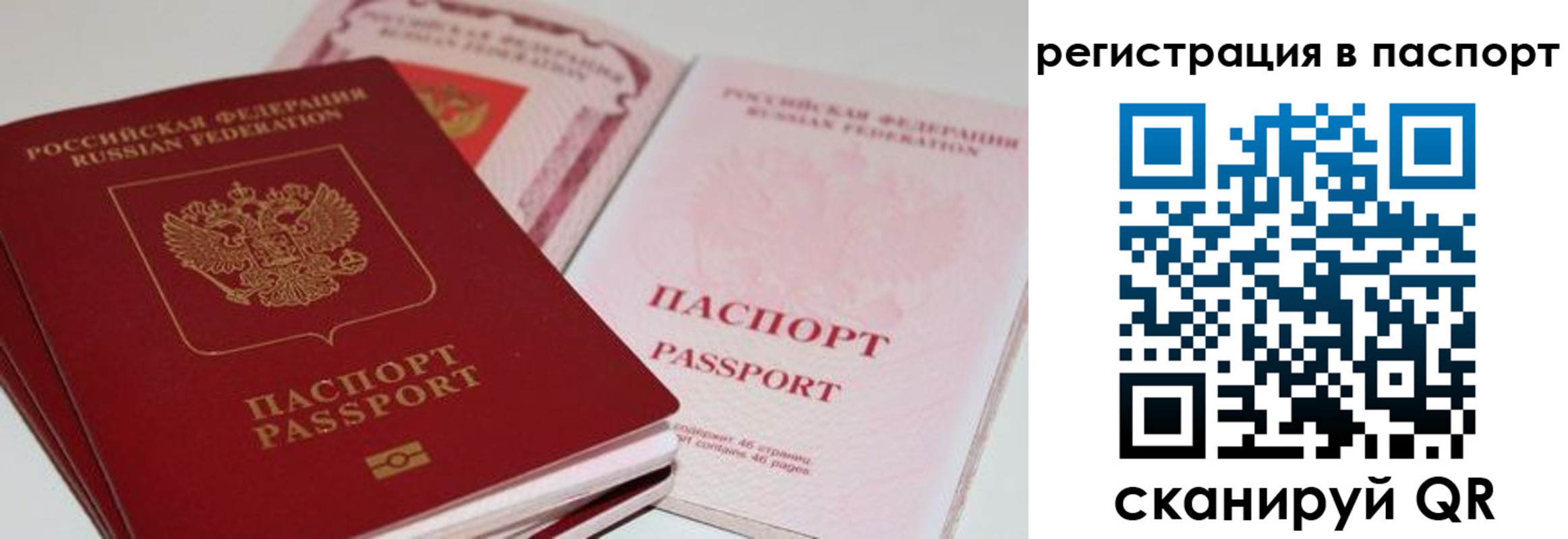 найти адрес прописки в Московской области